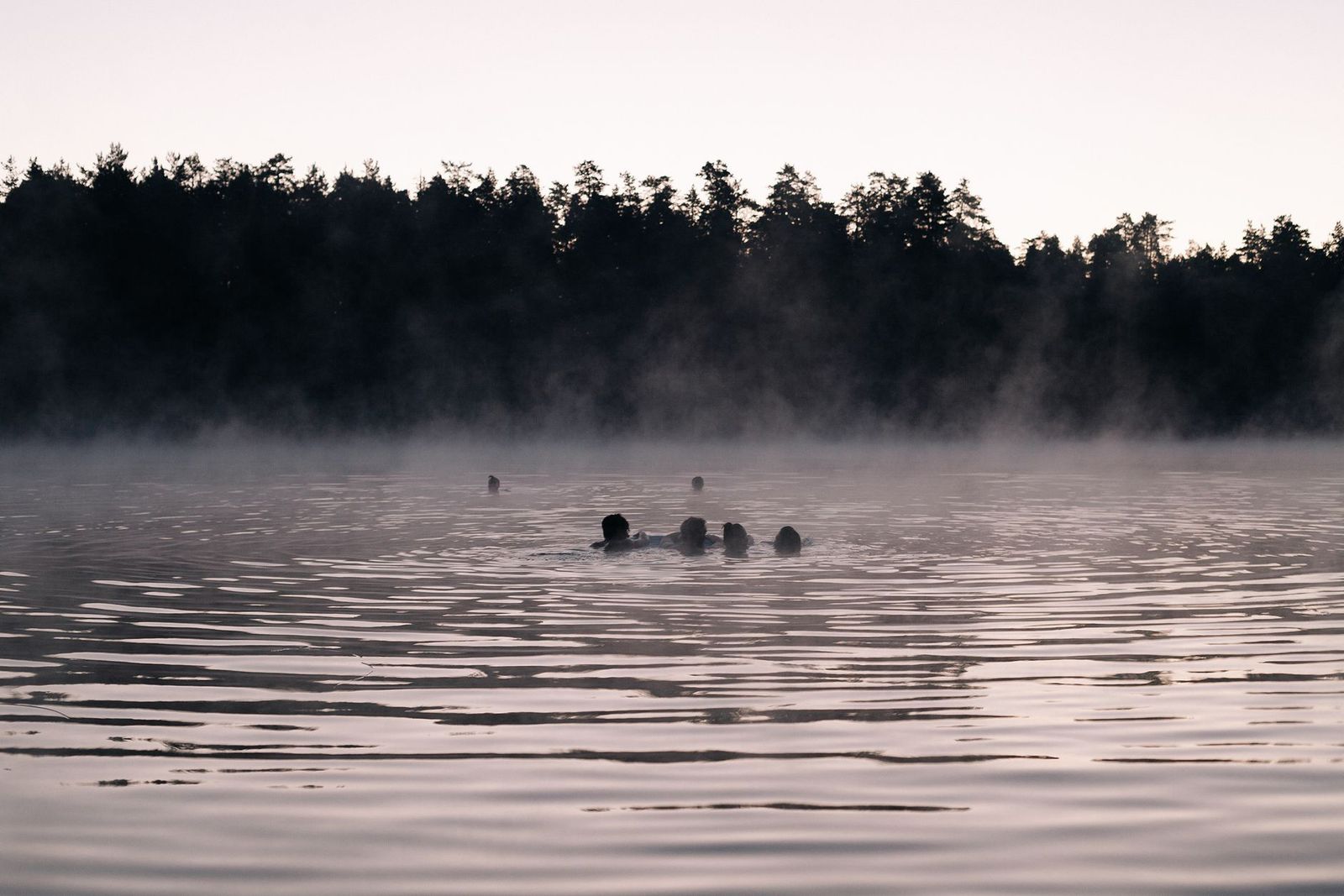 Swimmers in a misty lake at first light